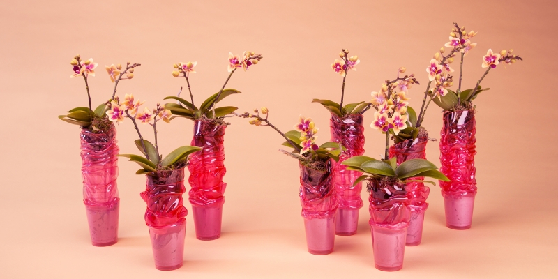 Plastic Fantastic by Geertje Stienstra