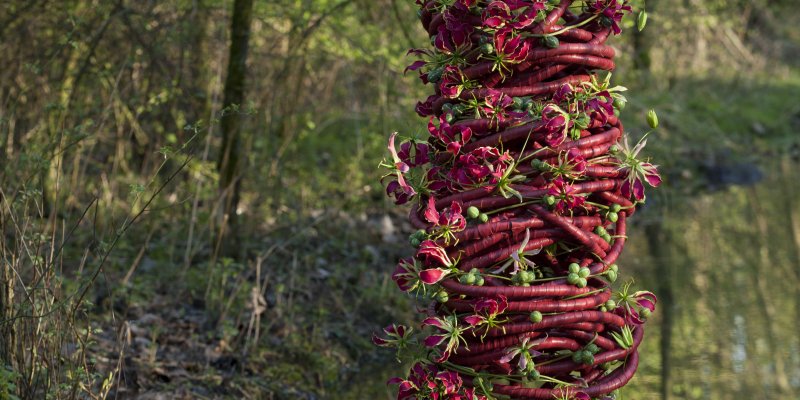High rising red floral design