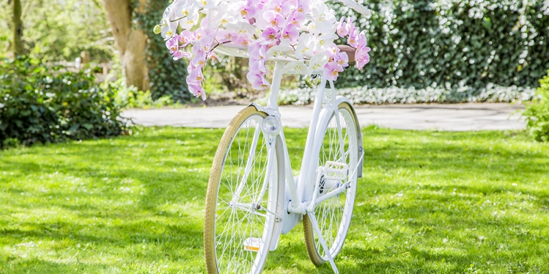 The 'wedding bike'