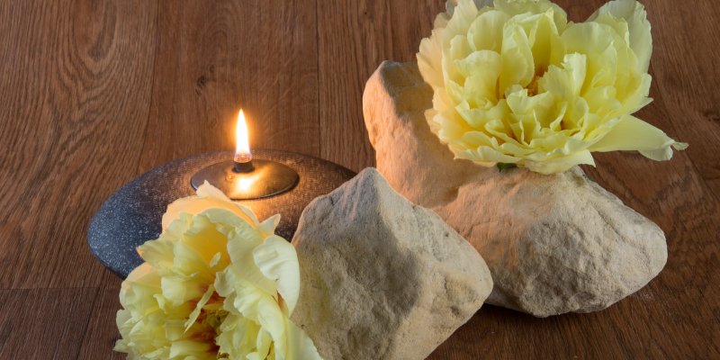 Nature's Luxury: Peony Bartzella