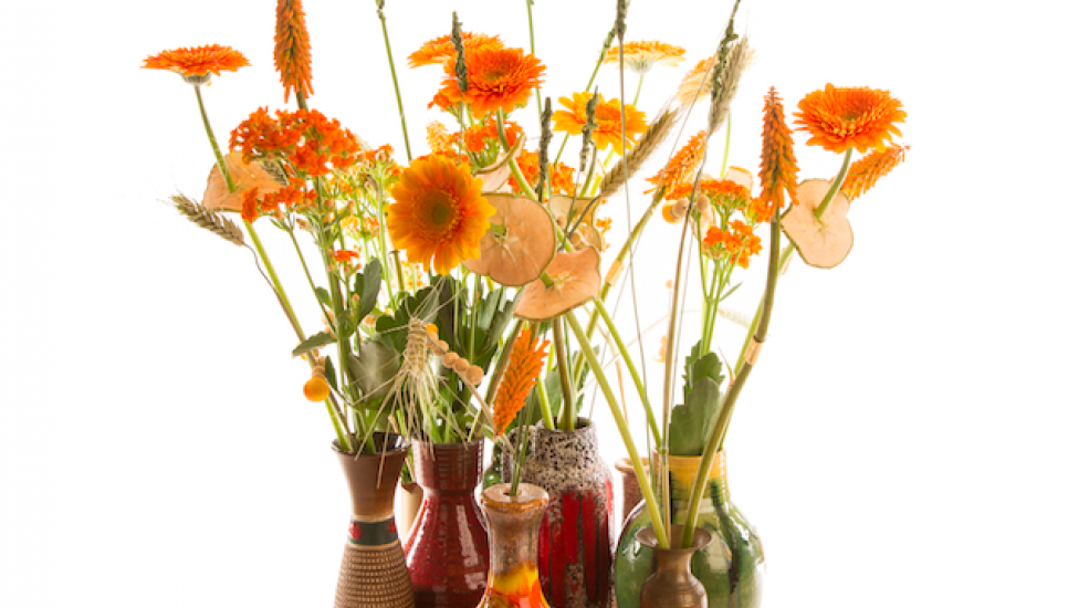 FF retro composition with germinis totaal