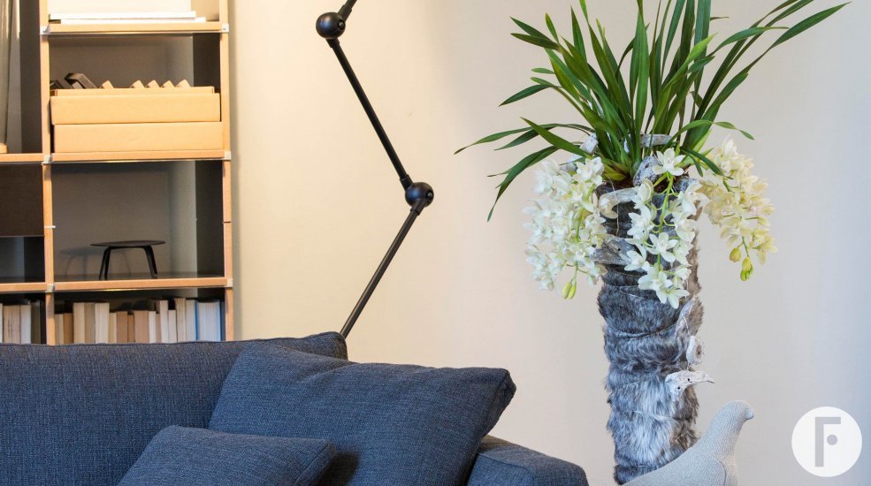 Cymbidium in fake fur container living room