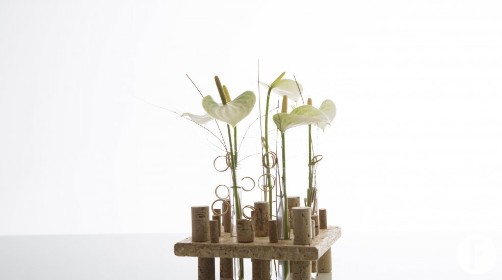 Flower Factor design for Fuerte Planta