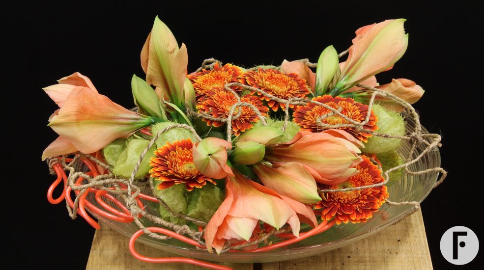 foto 3 Geertje Stienstra 4