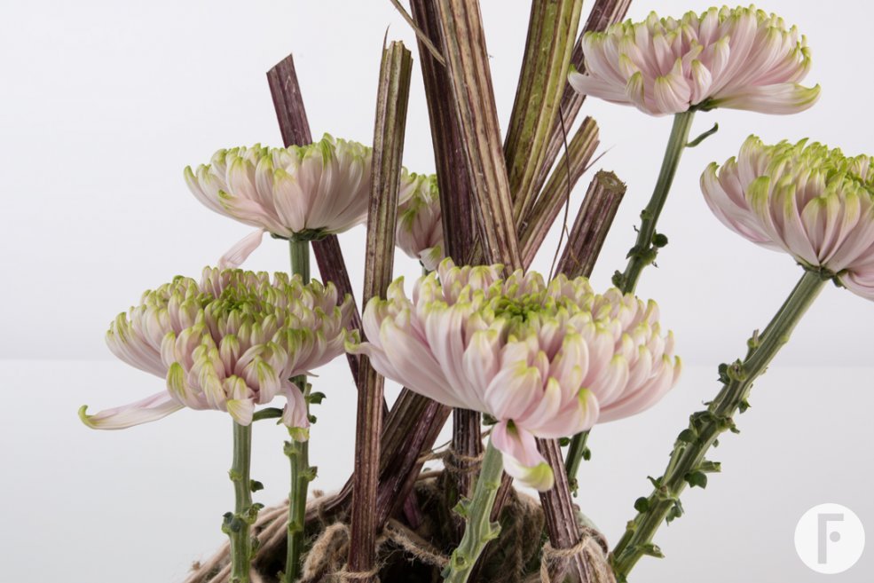 design Pim van den Akker close Rossano Charlotte