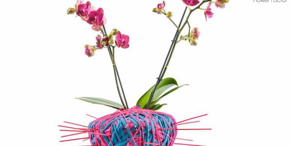 Florist Course Online Florist Course Online