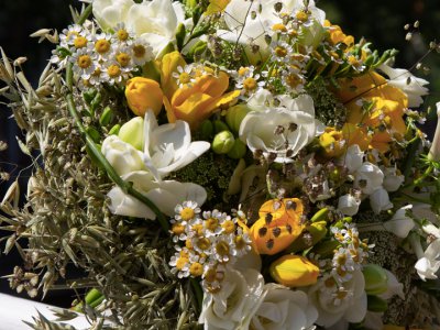 Join the fragrant #FreestyleFreesia competition Join the fragrant #FreestyleFreesia competition