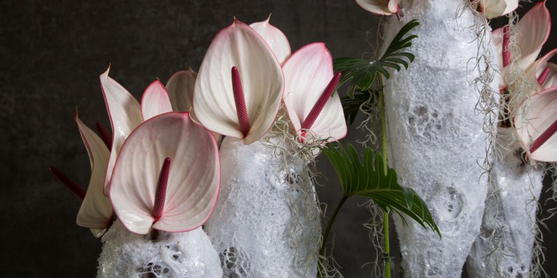 Icy Christmas object by Frédéric Dupré