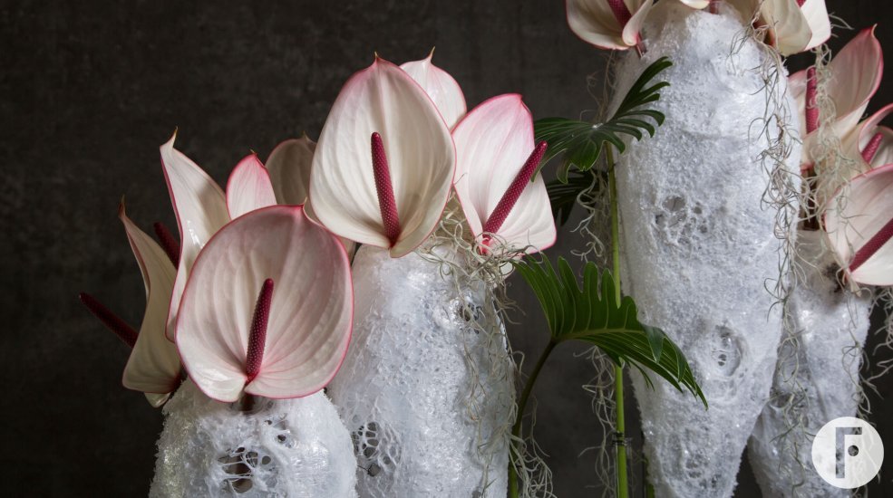 Cool Anthurium 'Facetto' arrangement