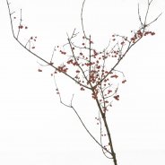 570A9850 small