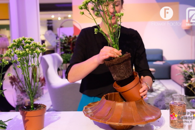 Green Living inspiration - Modern Kalanchoe arrangement Green Living inspiration - Modern Kalanchoe arrangement