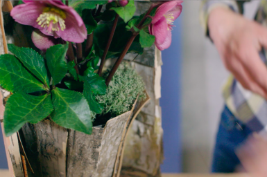 Hanging Hellebores design