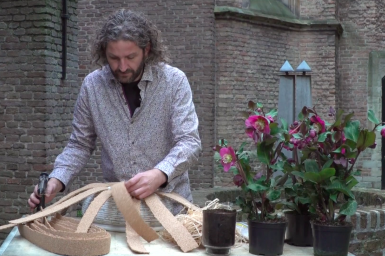 a Hellebore Frostkiss arrangement
