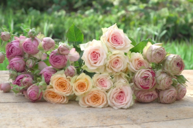 Spray roses wedding bouquet