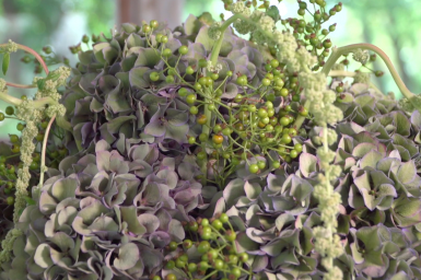 a luxurious Hydrangea centrepiece a luxurious Hydrangea centrepiece