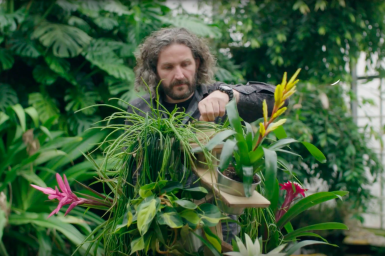 Bromeliad display design idea