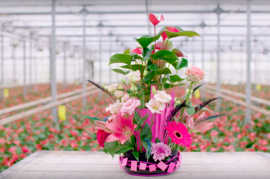 a Flowerful plant arrangement a Flowerful plant arrangement