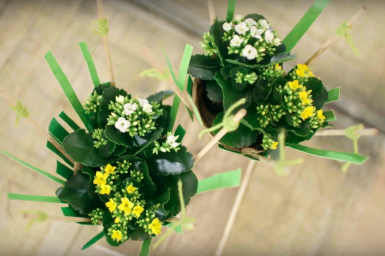 a cool Kalanchoë design