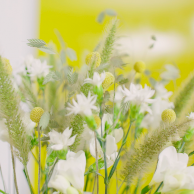 White and golden Freesia design