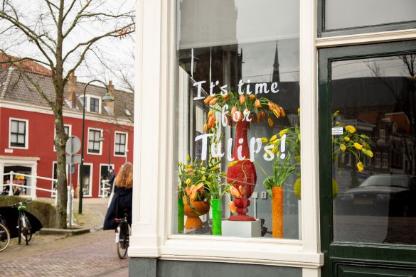 Tulip promotion Tuliptime 2020 I It's time for tulips! | Flower Factor Tulip promotion Tuliptime 2020 I It's time for tulips! | Flower Factor