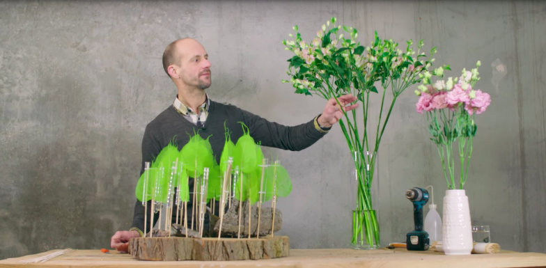 Charmelia on display