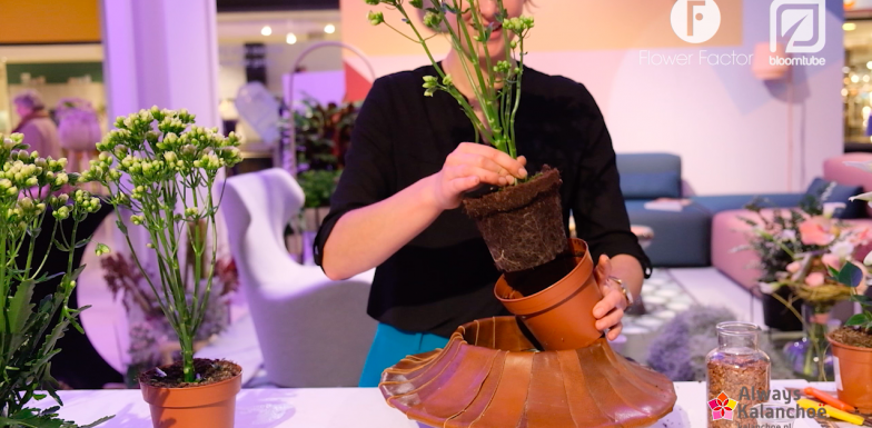 Green Living inspiration - Modern Kalanchoe arrangement