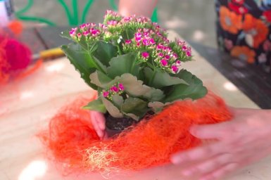 a colourful Kalanchoe table setting