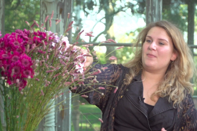 A stack of Stresa Chrysanthemums A stack of Stresa Chrysanthemums