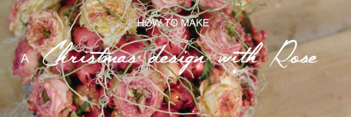 Christmas design with roses Christmas design with roses