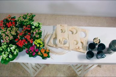 DIY Kalanchoë design object