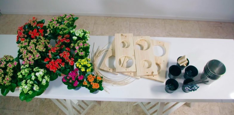 DIY Kalanchoë design object