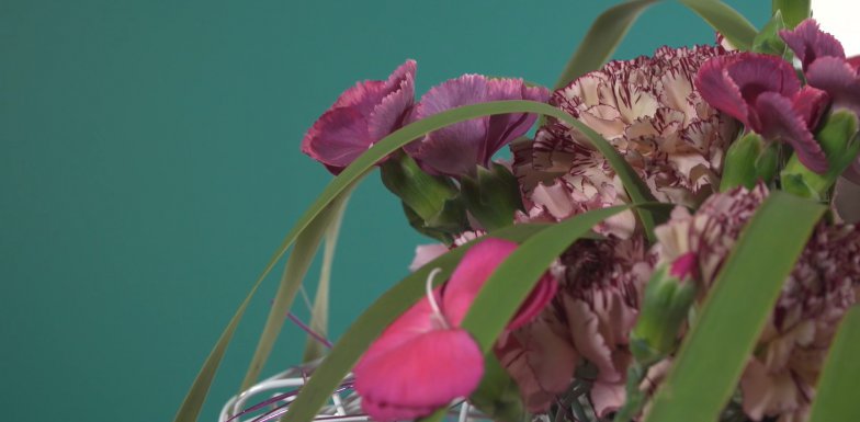 A Dianthus frame bouquet