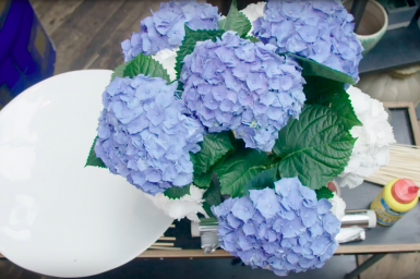 Hortensia frame bouquet Hortensia frame bouquet