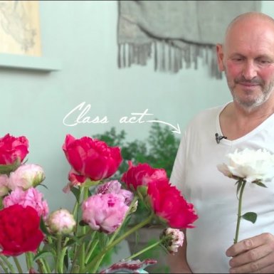 Italian-style peonies