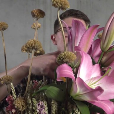 Pink Master lily design Pink Master lily design