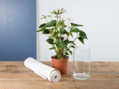 Step by step Anthurium plant design