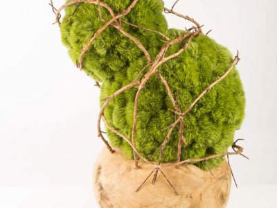 Photo tutorial: Flower design with Green Trick